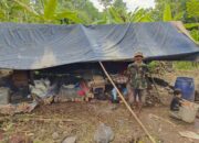 Gubuknya Terpaksa Dibongkar, Pemilik Rela Tinggal di Tenda