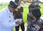 Kabar Baik! Tol Gateci Bakal Dibangun Maret 2022