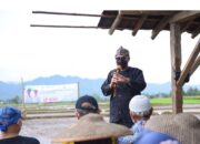 Program IP400, Fahmi Harap Suplai di Kota Sukabumi Naik