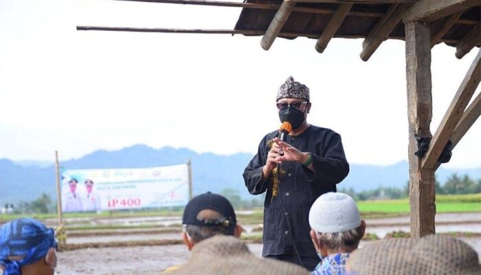 Program IP400, Fahmi Harap Suplai di Kota Sukabumi Naik