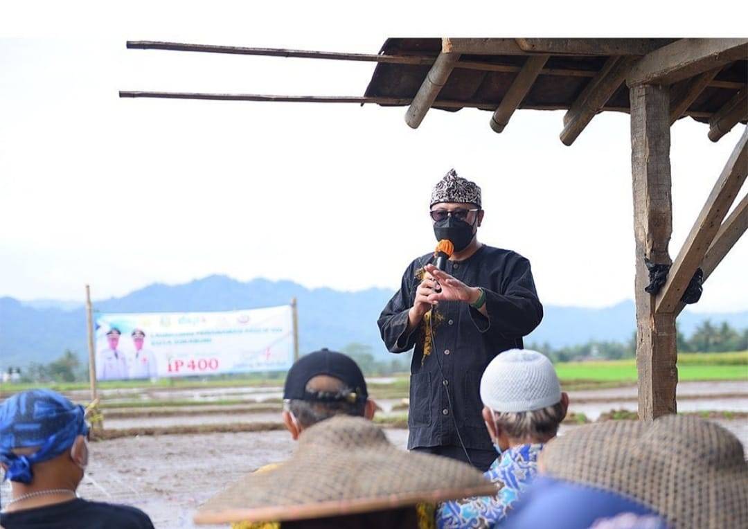 Program IP400, Fahmi Harap Suplai Beras di Kota Sukabumi Naik