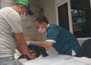 Dispangtan Cimahi Gelar Vaksinasi Rabies dan Flu Burung