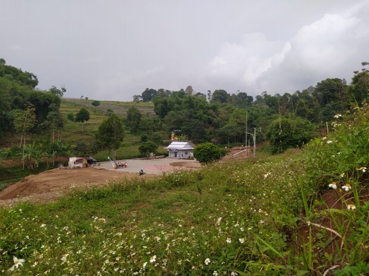 Pemkot Cimahi Berkomitmen Tambah RTH