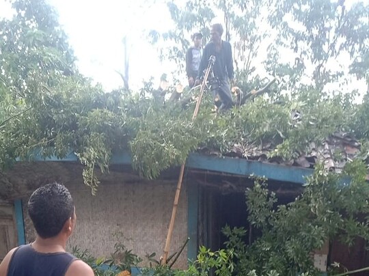 Pohon Tumbang Mengakibatkan 1 Rumah Ambyar