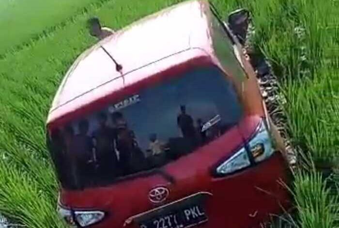 Minibus Terjun ke Sawah Gegara Sopir Kaget karena Ini