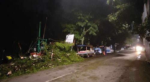 Pohon Tumbang di Jalan Ciwastra 1 Toko dan Gerobak Tertimpa