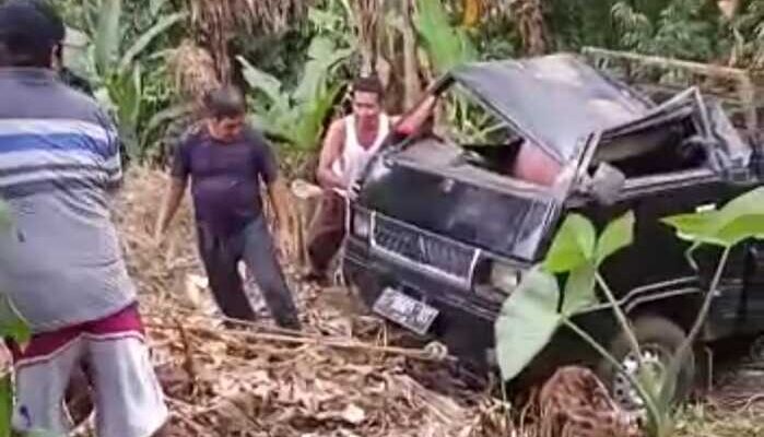 Tak Kuat Menanjak, Mobil Bermuatan Kayu Ini Masuk Jurang