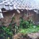 Tebing Longsor di Sukanagara Menimpa 2 Rumah