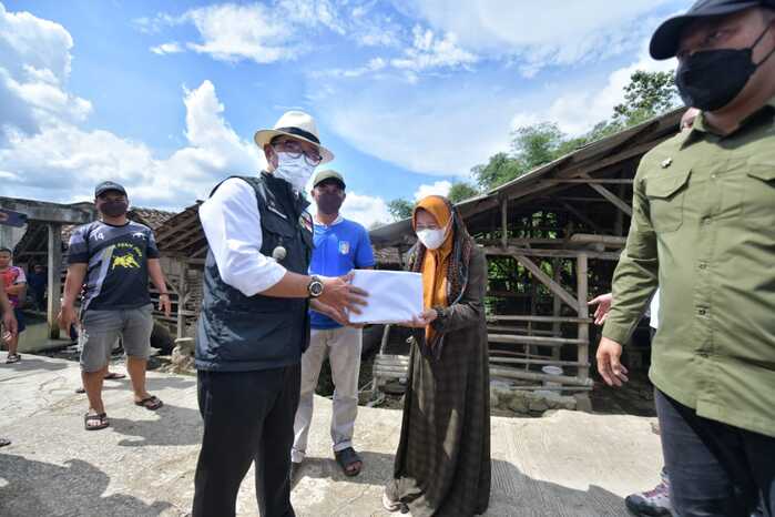 Emil Instruksikan Daerah Waspada Lalu-Lintas Ternak