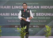 Jabar Gencarkan Tanam Jutaan Bibit Mangrove