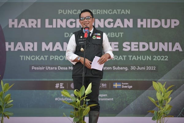 Jabar Gencarkan Tanam Jutaan Bibit Mangrove