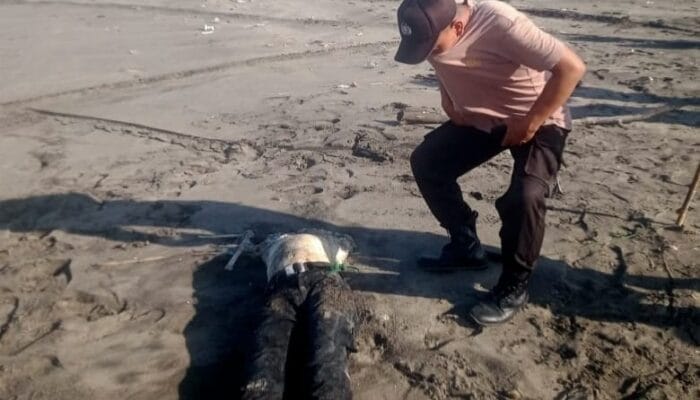 Geger! Pria Tak Berkepala di Pantai Salatri Cianjur