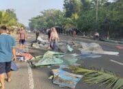 Pedagang Cingcau di Cianjur Protes Dibongkar