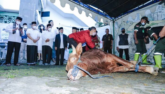 Pemkot Bandung Sebar 45 Sapi dan 100 Kambing