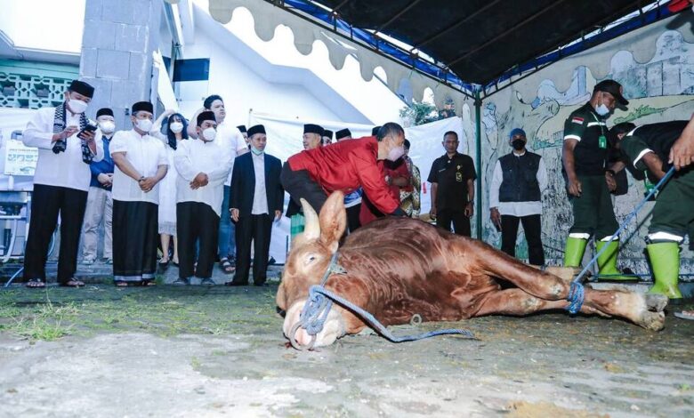 Pemkot Bandung Sebar 45 Sapi dan 100 Kambing