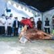 Pemkot Bandung Sebar 45 Sapi dan 100 Kambing