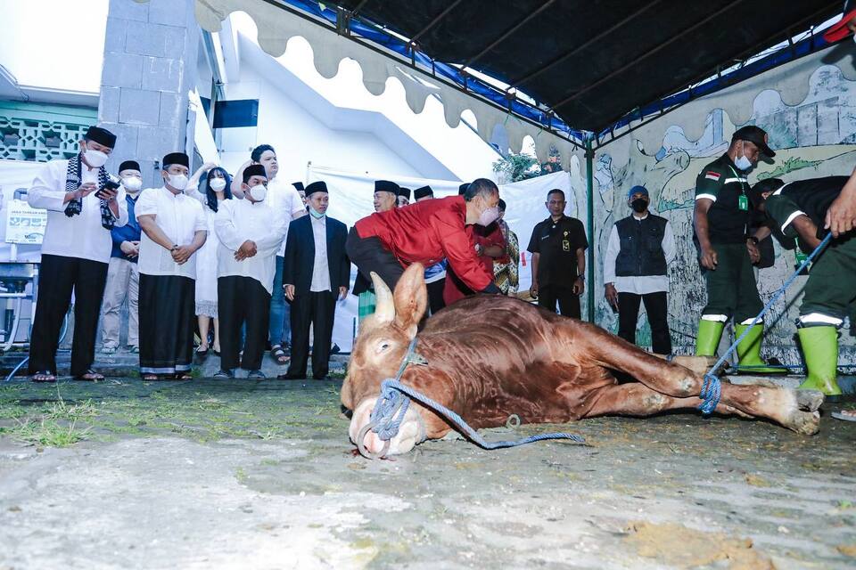 Pemkot Bandung Sebar 45 Sapi dan 100 Kambing