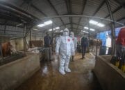 DKPP Kota Bandung Latih 780 Petugas Kurban