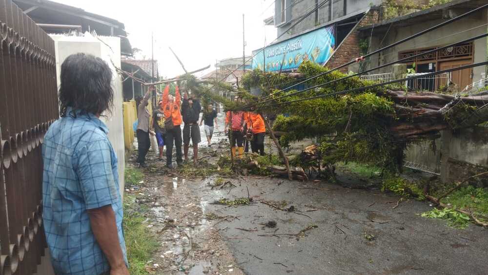 Pohon Tumbang di Solokanpandan Cianjur Menutup Jalan