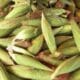 Jagung Sindangbarang Cianjur Merambah Jateng dan Jatim