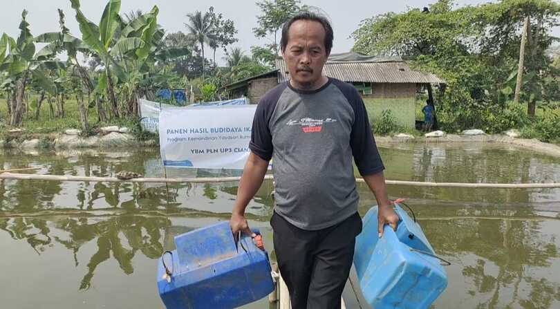 Panen Ikan Patin YRPJ Berlimpah