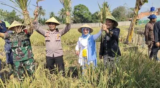 SMK Negeri 1 Bojongpicung Panen Raya