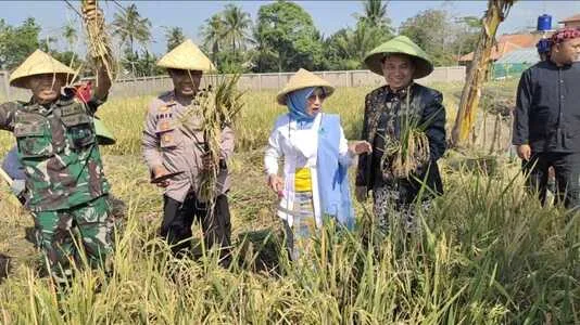 SMK Negeri 1 Bojongpicung Panen Raya