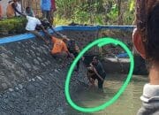 Tiga Bocah SD Bermain Air di Bendungan, 1 Tewas