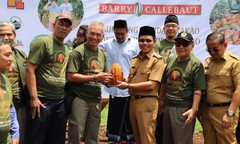 Budidaya Kakao di Kabupaten Bandung Mulai Digenjot