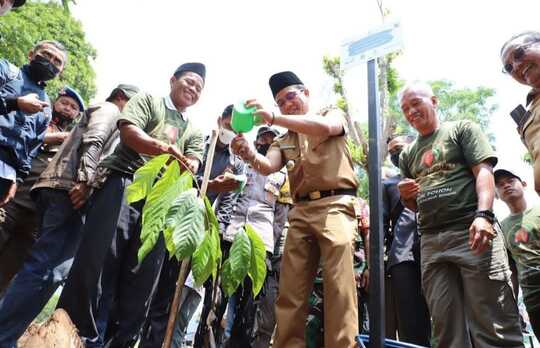Budidaya Kakao di Kabupaten Bandung Mulai Digenjot
