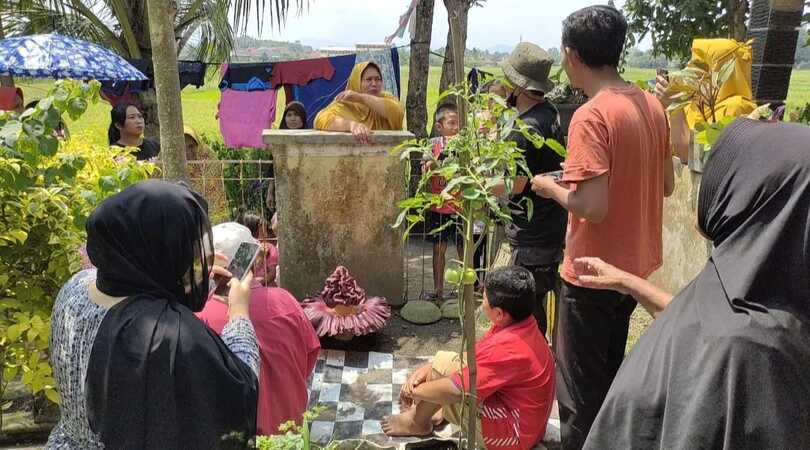 Bunga Bangkai Mekar Menyedot Perhatian Warga