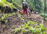 Longsor di Desa Sukarama Cianjur Timpa 1 Rumah