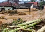 Ribuan Rumah di Trenggalek Terendam Banjir