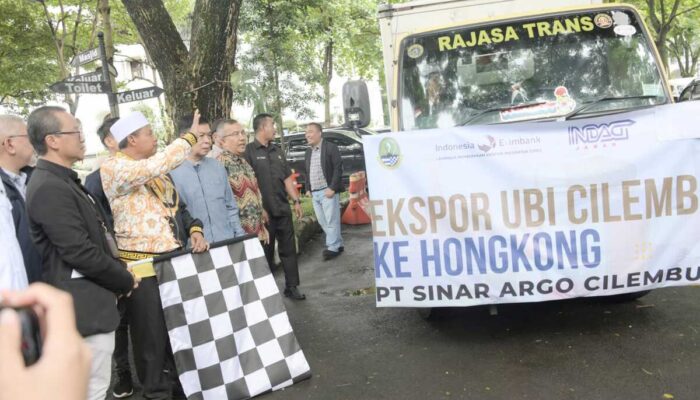 Ubi Cilembu Sumedang Diekspor ke Hongkong