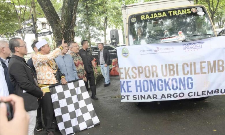 Ubi Cilembu Sumedang Diekspor ke Hongkong