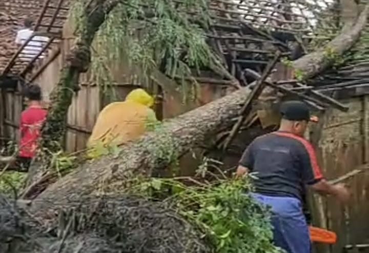 Bencana Alam Angin Kencang Robohkan Rumah Warga di Madiun