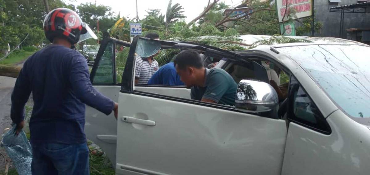 Mobil Tertimpa Pohon di Magetan Ringsek