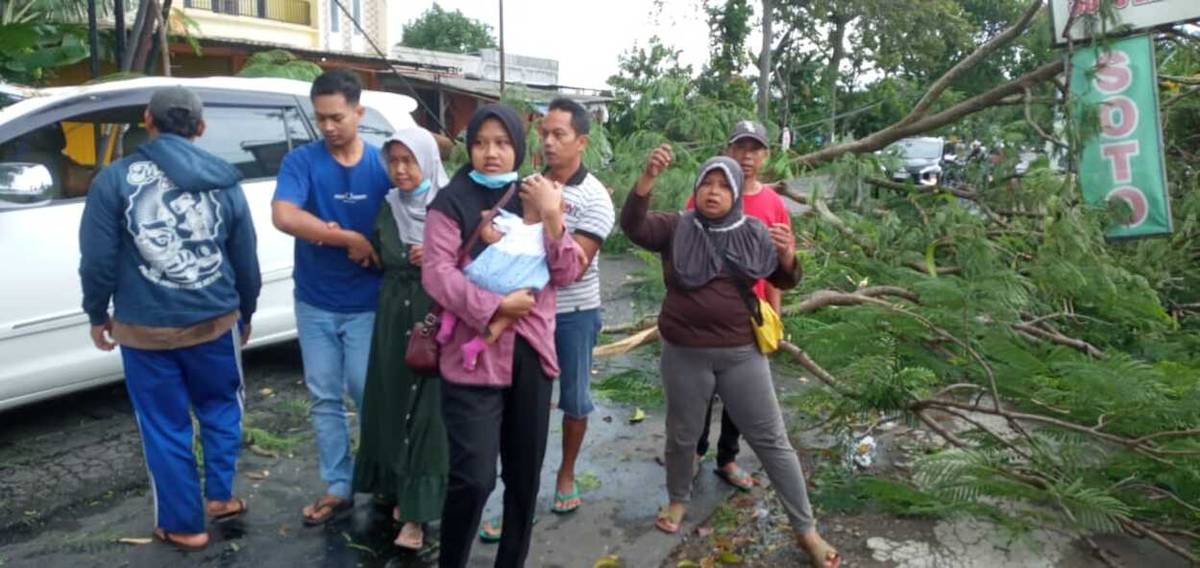 Mobil Tertimpa Pohon di Magetan