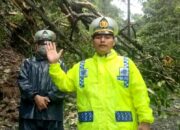 Pohon Tumbang di Jalan Raya Cisarakan Tutup Akses