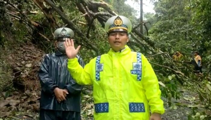 Pohon Tumbang di Jalan Raya Cisarakan Tutup Akses