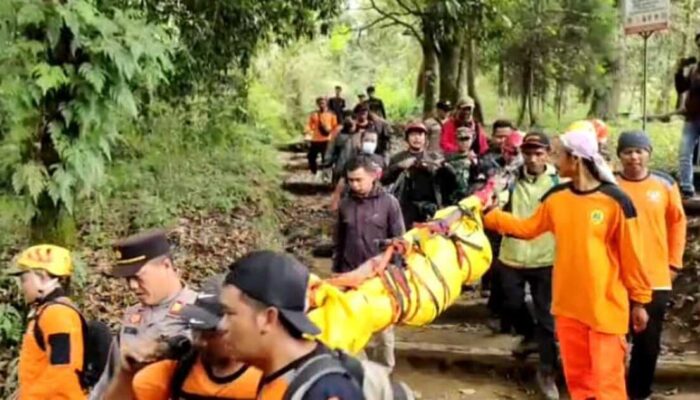 Jasad Gadis Berhasil Diturunkan Tim dari Gunung Lawu