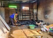 Kebakaran Kandang Ayam, Puluhan Ekor Terpanggang