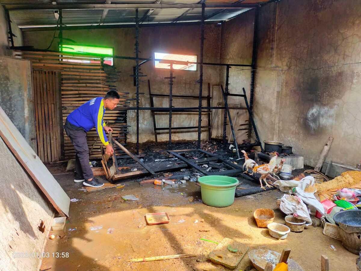 Kebakaran Kandang Ayam di Madiun, Puluhan Ayam Terpanggang