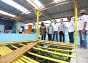 Komisi II Sebut Budidaya Anggur Laut Patut Dikembangkan
