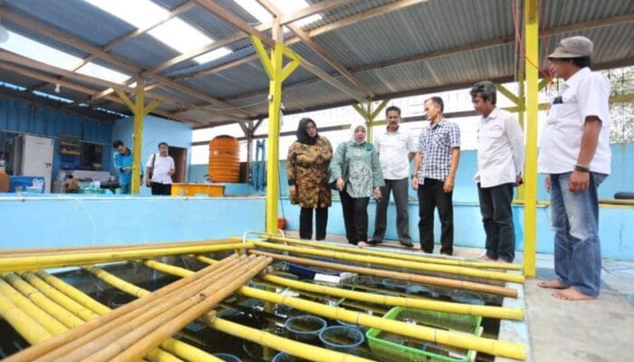 Komisi II Sebut Budidaya Anggur Laut Patut Dikembangkan
