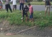 Mayat Mengambang Gegerkan Warga