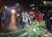Pohon Tumbang di Cianjur Membuat Pemotor Kritis