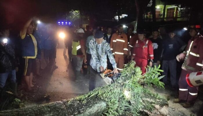 Pohon Tumbang di Cianjur Membuat Pemotor Kritis