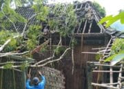 Rumah Janda Miskin di Pacitan Hancur Tertimpa Pohon