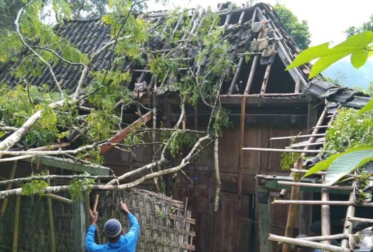 Rumah Janda Miskin di Pacitan Hancur Tertimpa Pohon